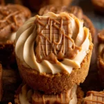 Mini Biscoff Cookie Butter Cheesecakes
